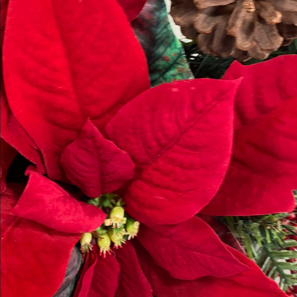 26” Red Poinsettia, Red Hydrangea Christmas Wreath - Picture 5 of 9